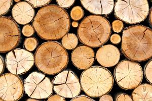 Бизнес на спилах: продажа древесного спила, как открыть